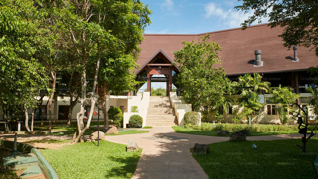 Westelijk paradijs, Dambulla