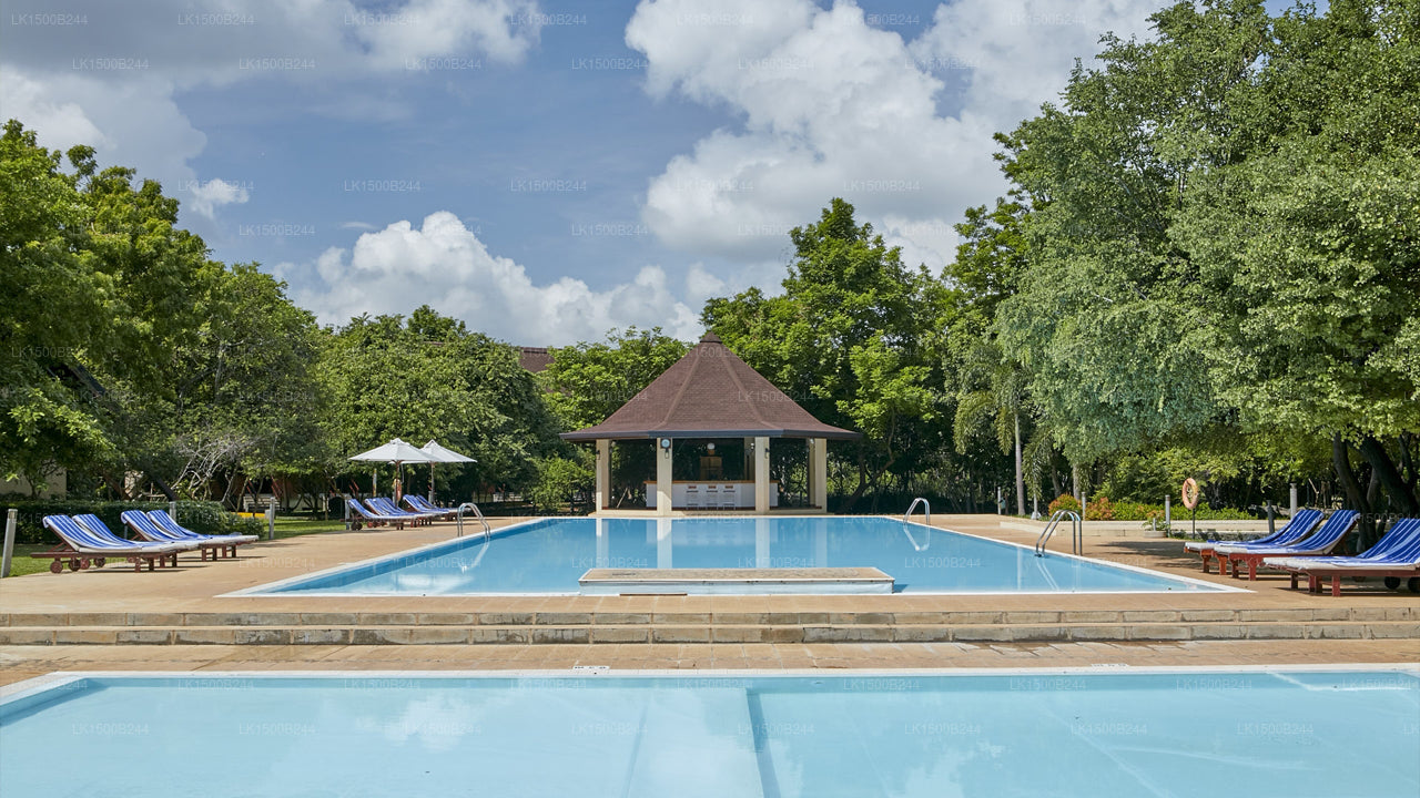 Westelijk paradijs, Dambulla