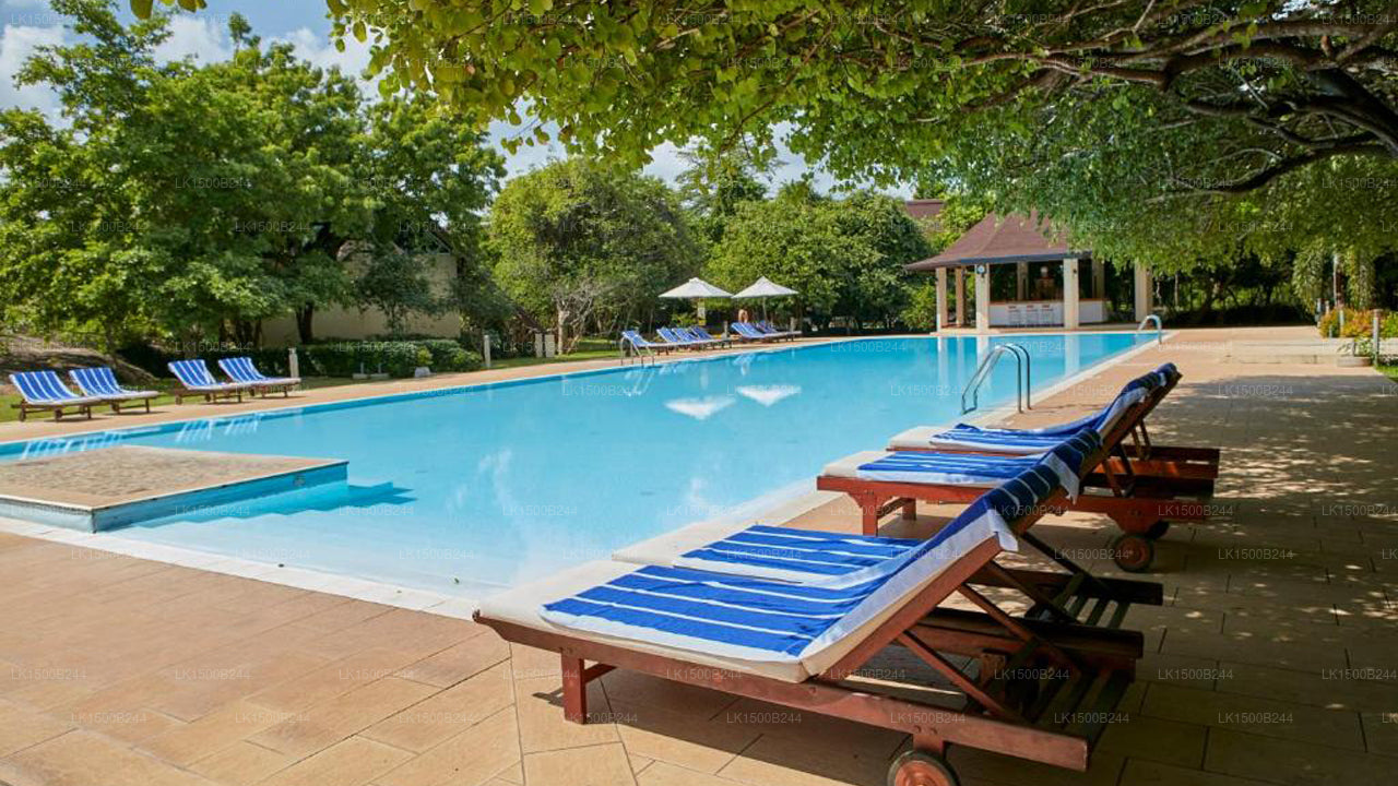 Westelijk paradijs, Dambulla