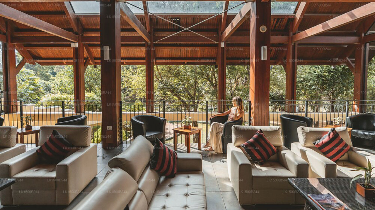 Westelijk paradijs, Dambulla