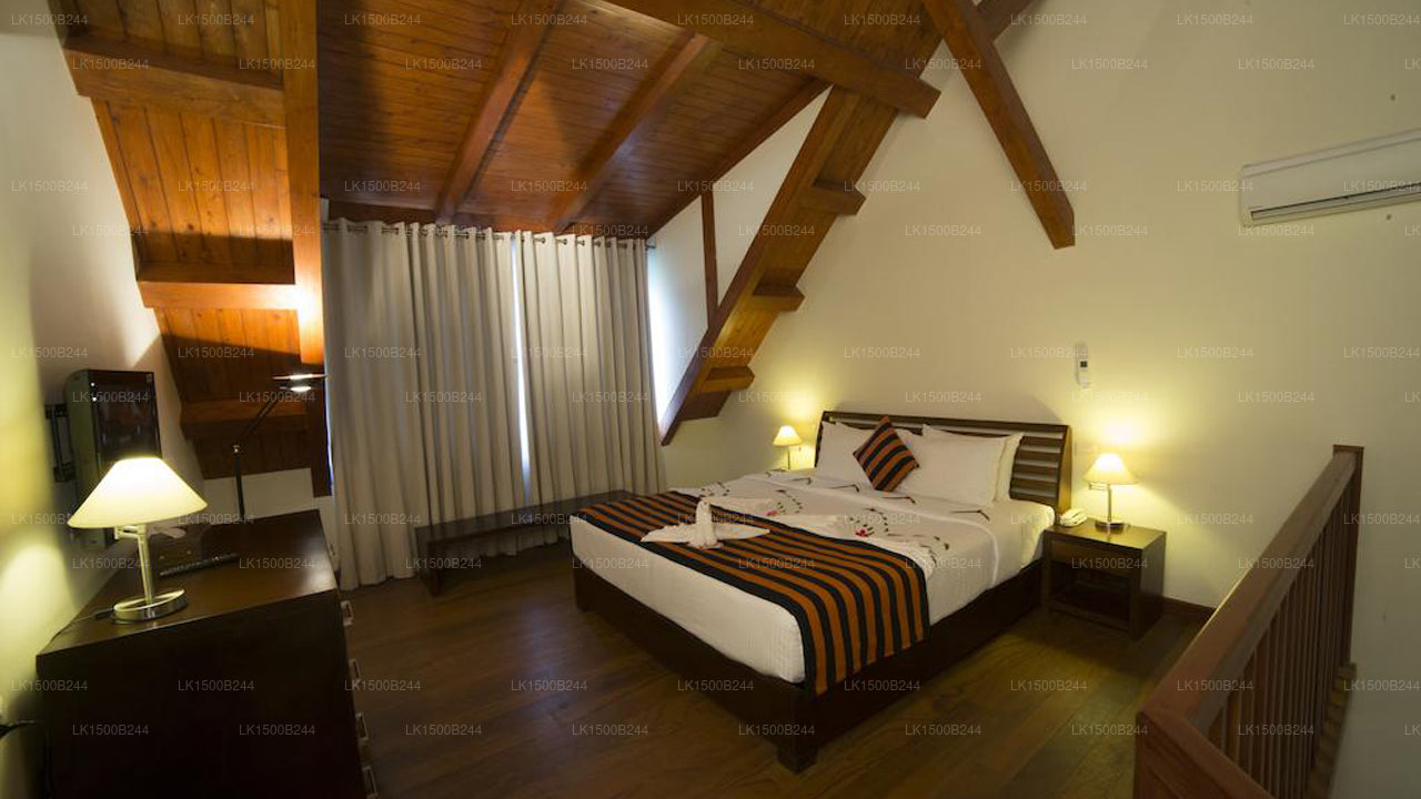 Westelijk paradijs, Dambulla