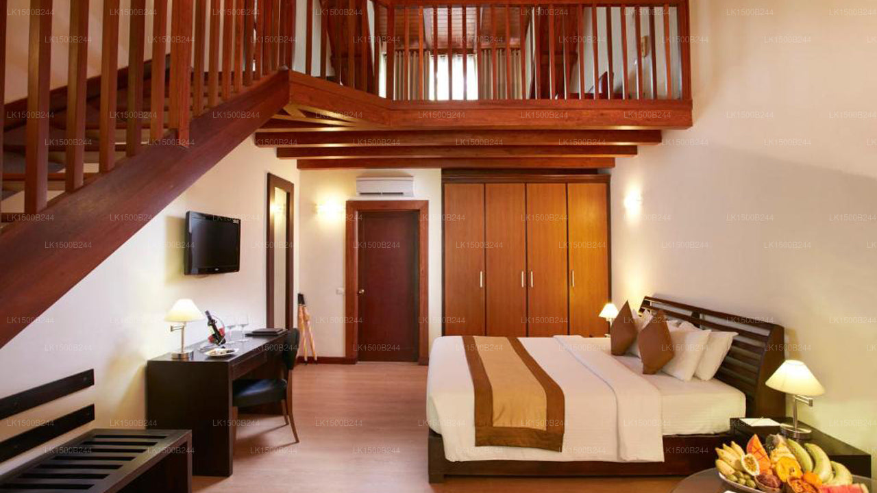 Westelijk paradijs, Dambulla