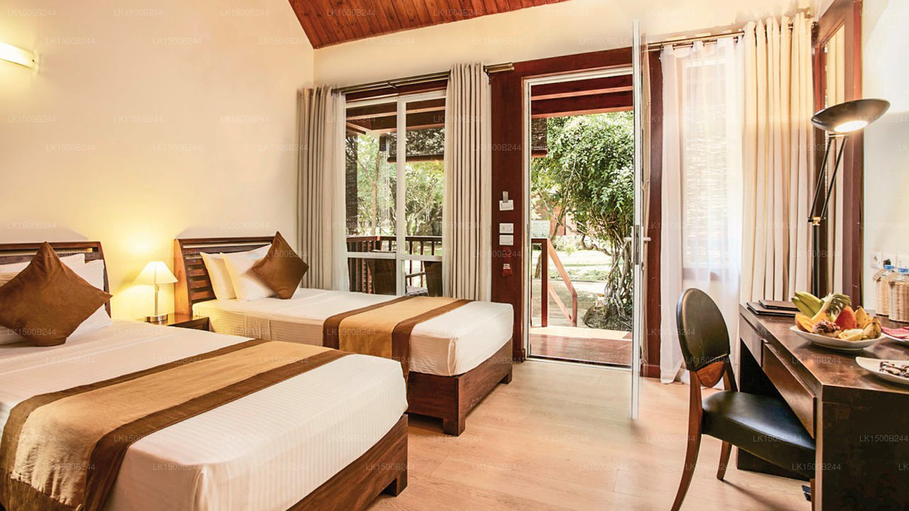 Westelijk paradijs, Dambulla