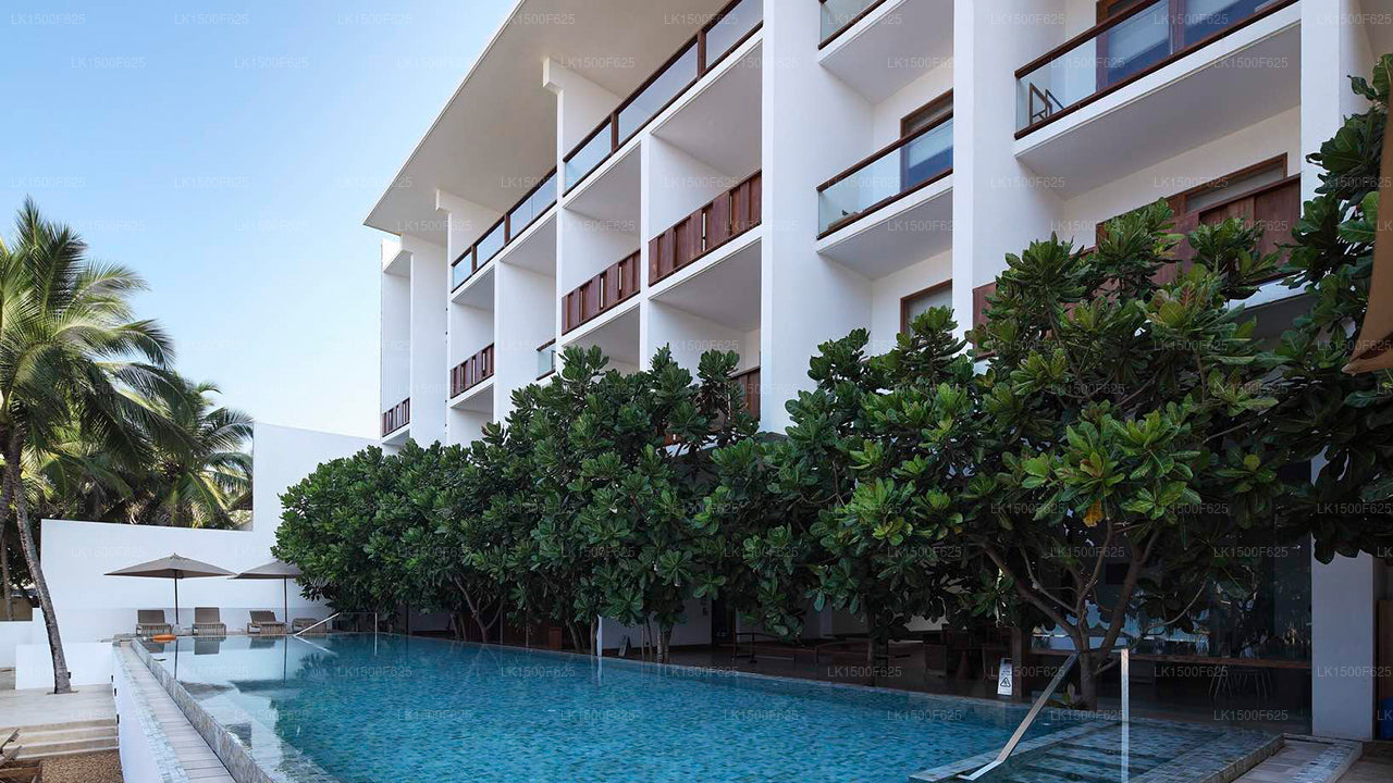 Riff Hotel, Hikkaduwa