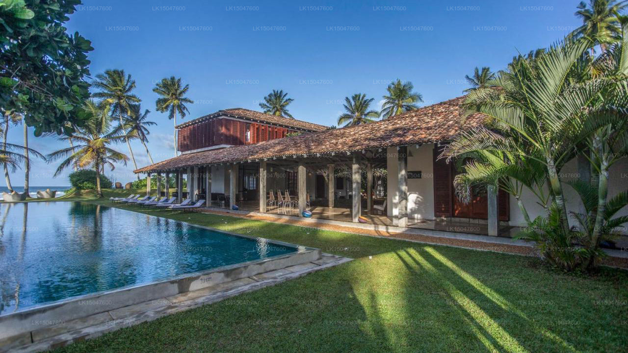 The Frangipani Tree, Talpe