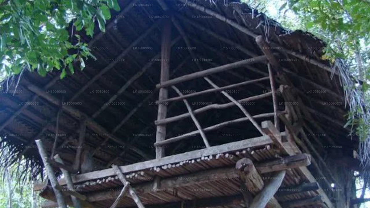 Droomhuisje, Habarana