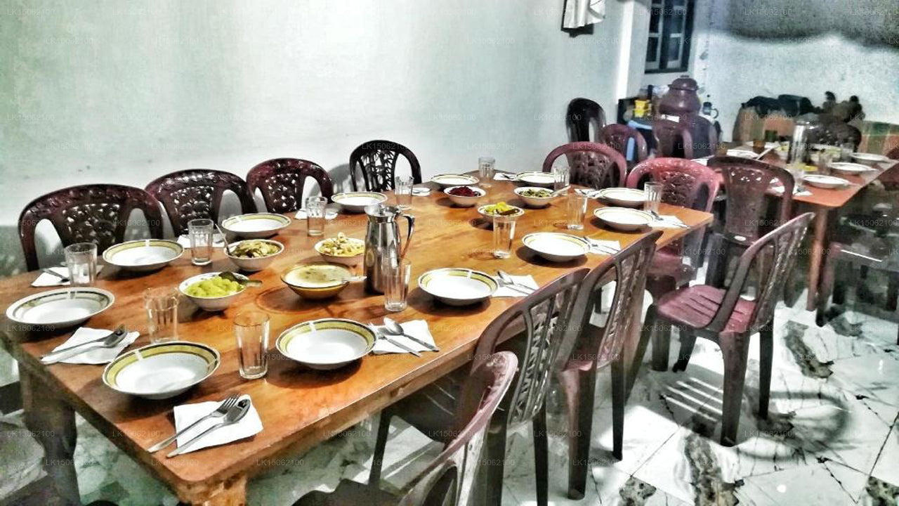 White Monkey - Dias Rest, Haputale