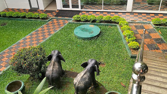 The Talduwa Manor Dehiowita, Avissawella