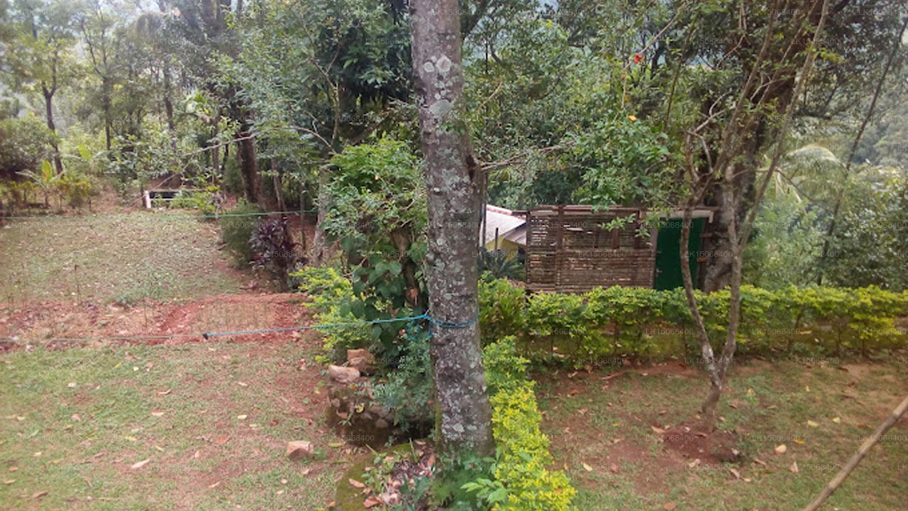 Pine Forest Inn Holiday Bungalow, Watawala