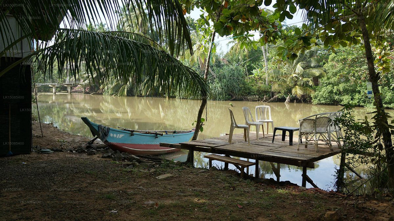 Coconut Beach Cabanas, Tangalle
