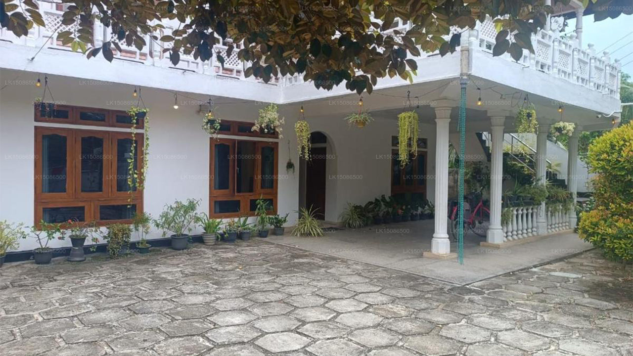 The Jungle House, Unawatuna