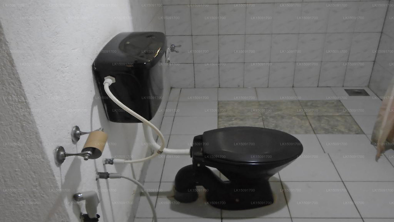 Dell Holiday Home, Bandarawela