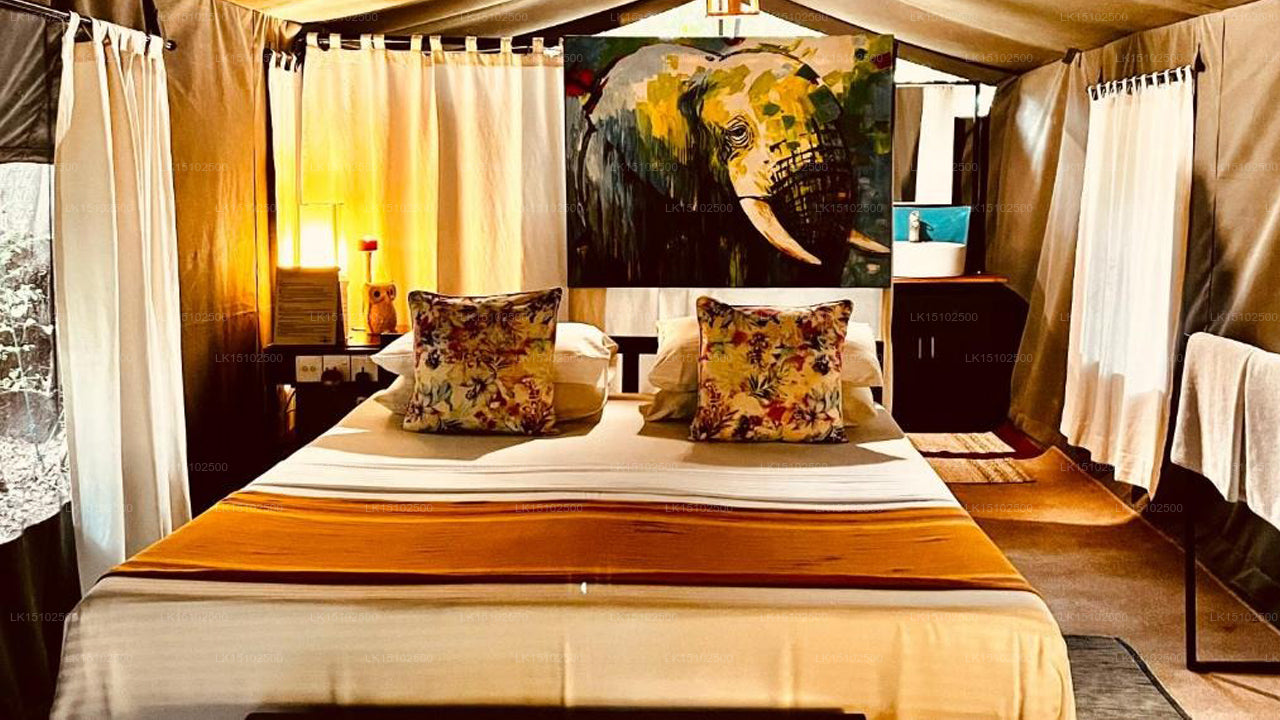 Mahoora Safari Camping, Wilpattu