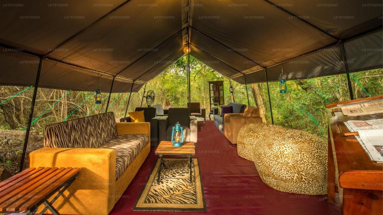 Mahoora Safari Camping, Wilpattu