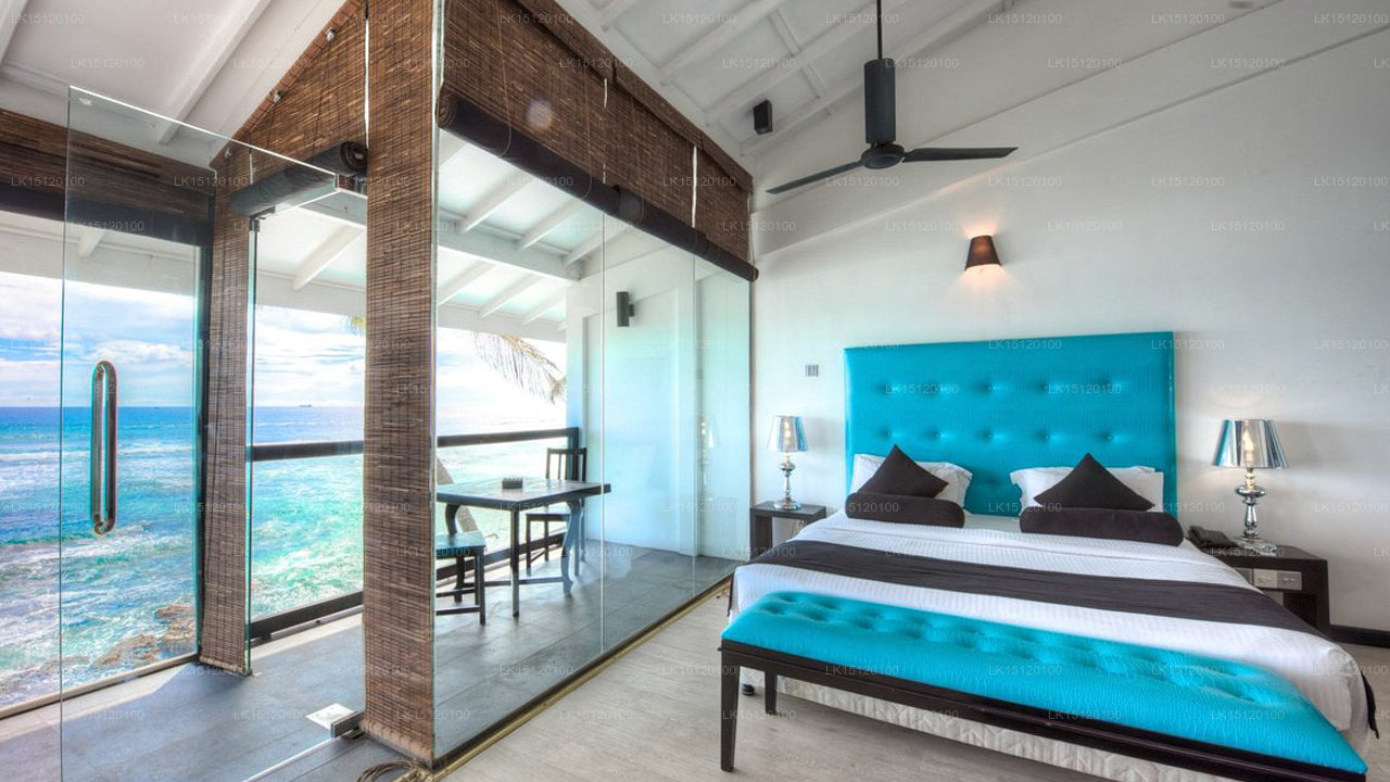 Cantaloupe Aqua, Thalpe