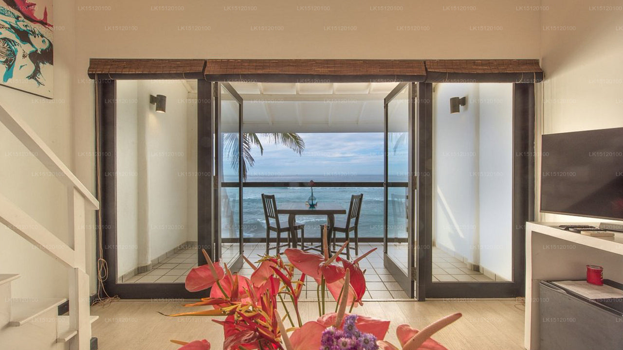 Cantaloupe Aqua, Thalpe