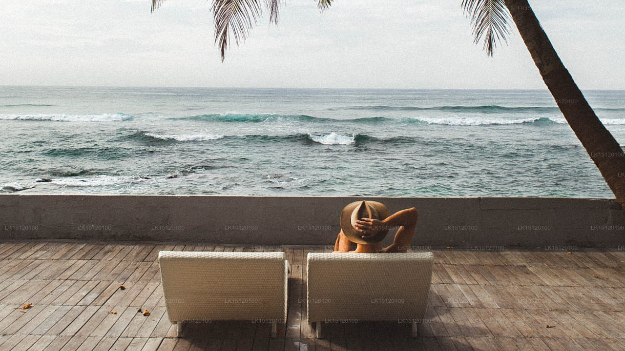 Cantaloupe Aqua, Thalpe