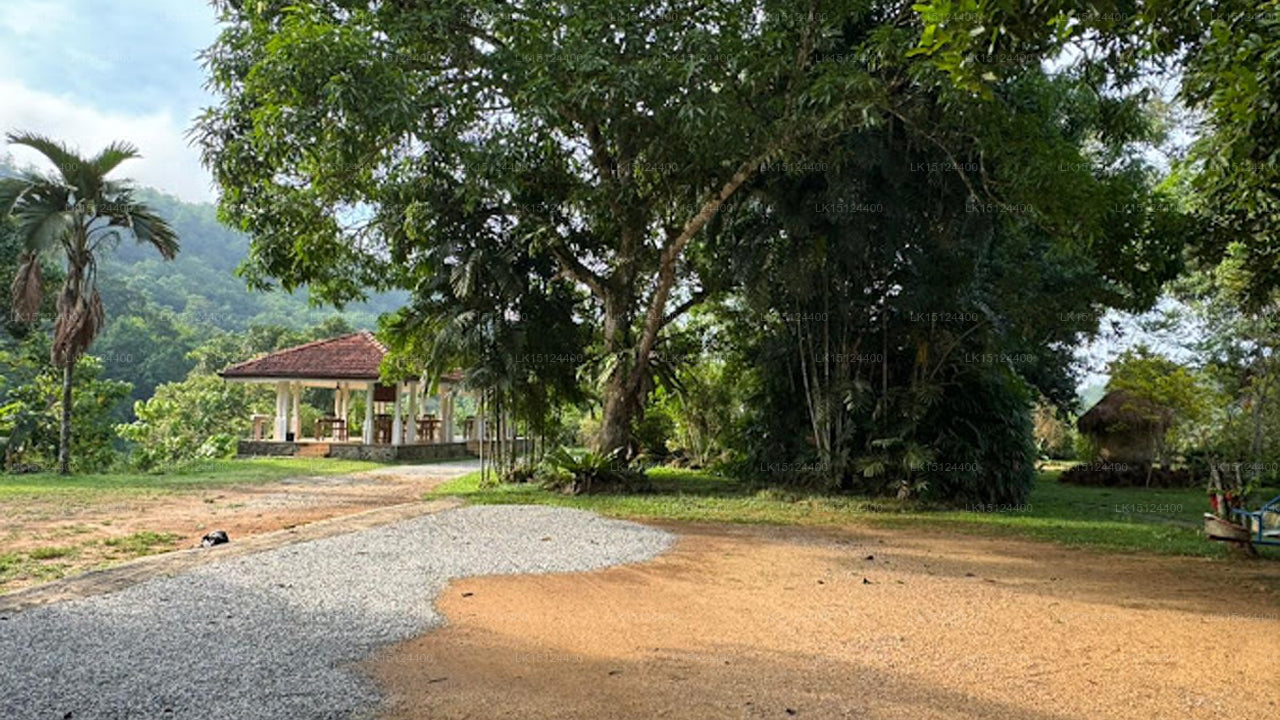 Randiya Epiliyagoda Resort, Avissawella