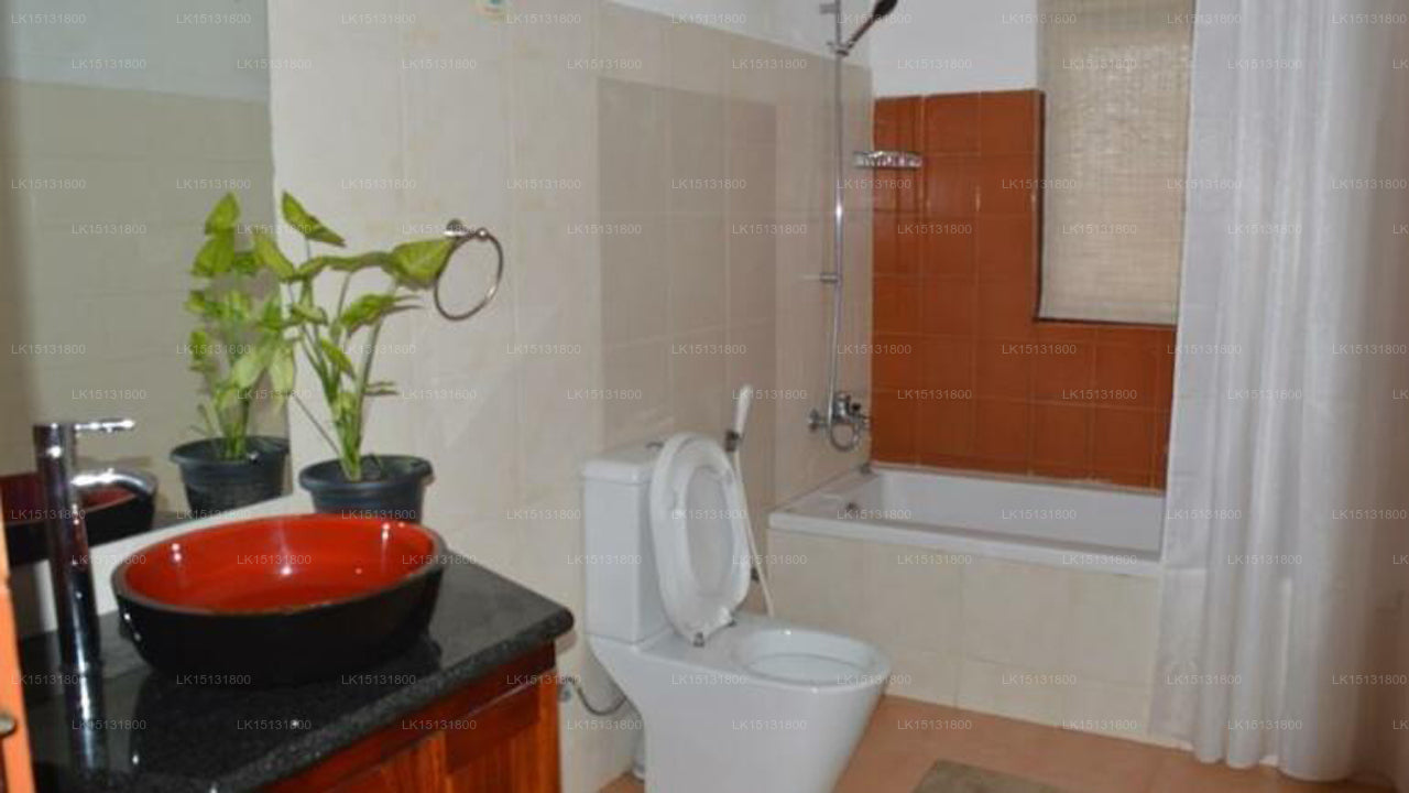 Dream Paradise, Kandy