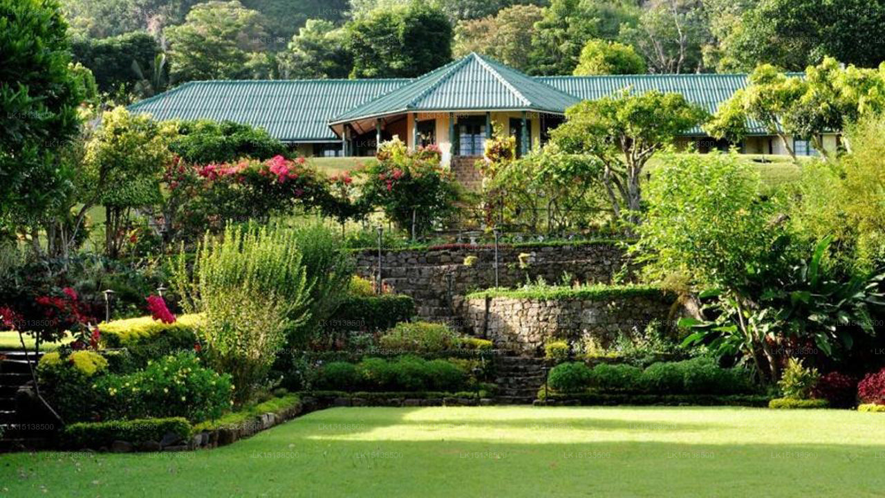 Viharagala Estate Bungalow, Haputale