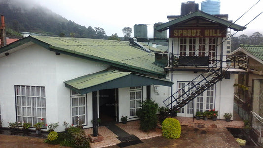 Sprout Hill, Nuwara Eliya