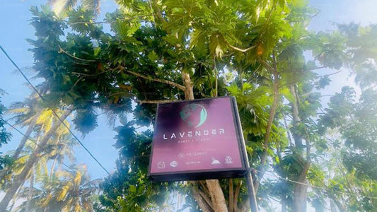 Lavender Lyrics Guest