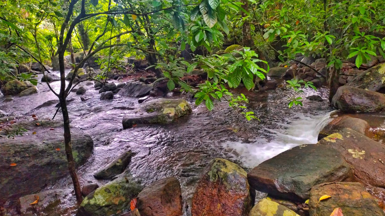 Eco Jungle Hideout, Matara