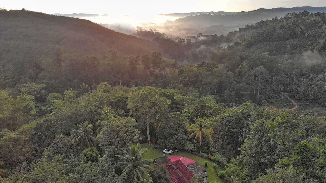 Eco Jungle Hideout, Matara