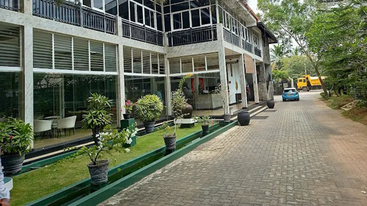 Oakray Elephant Lake