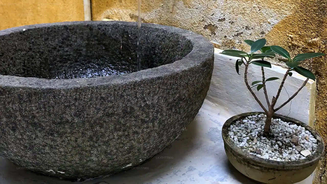 Coco Mari Beach Villa, Hikkaduwa