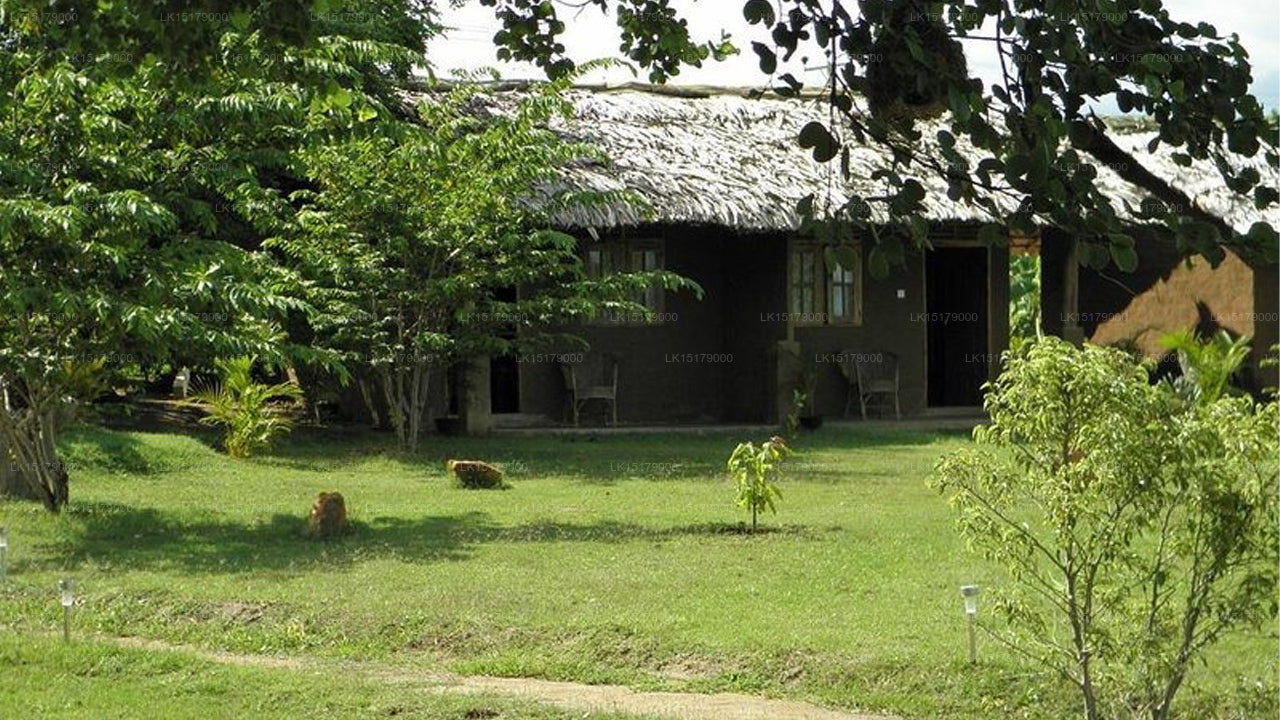 Lotus Chalets, Udawalawe