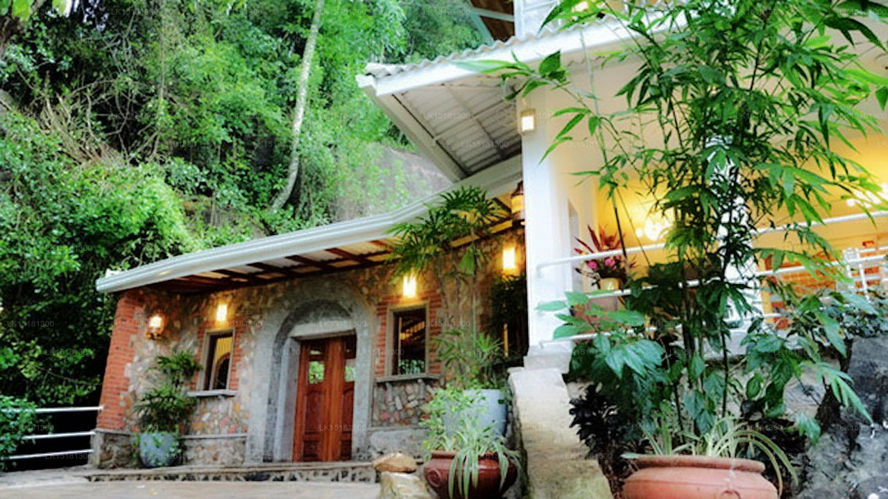 Forest Edge, Kitulgala