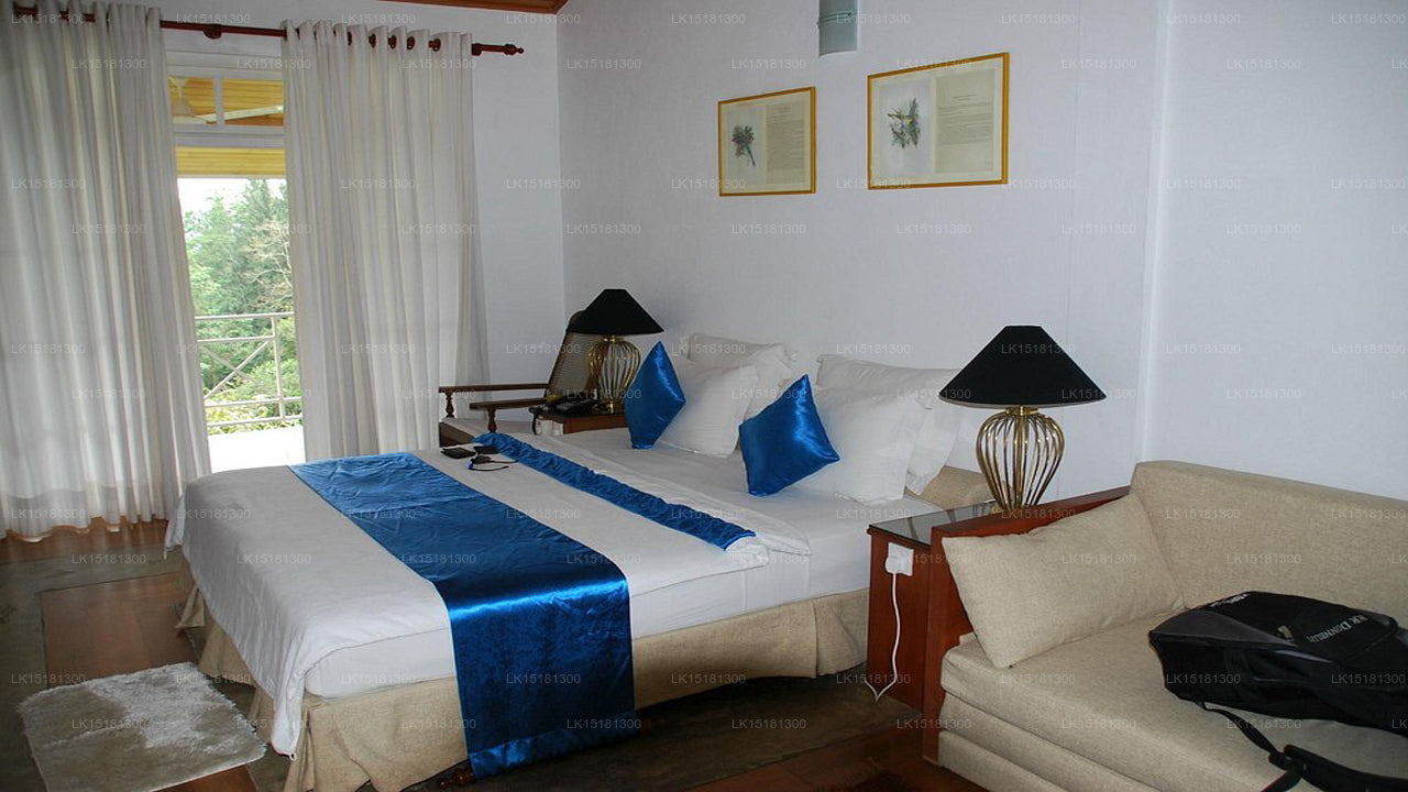 Forest Edge, Kitulgala