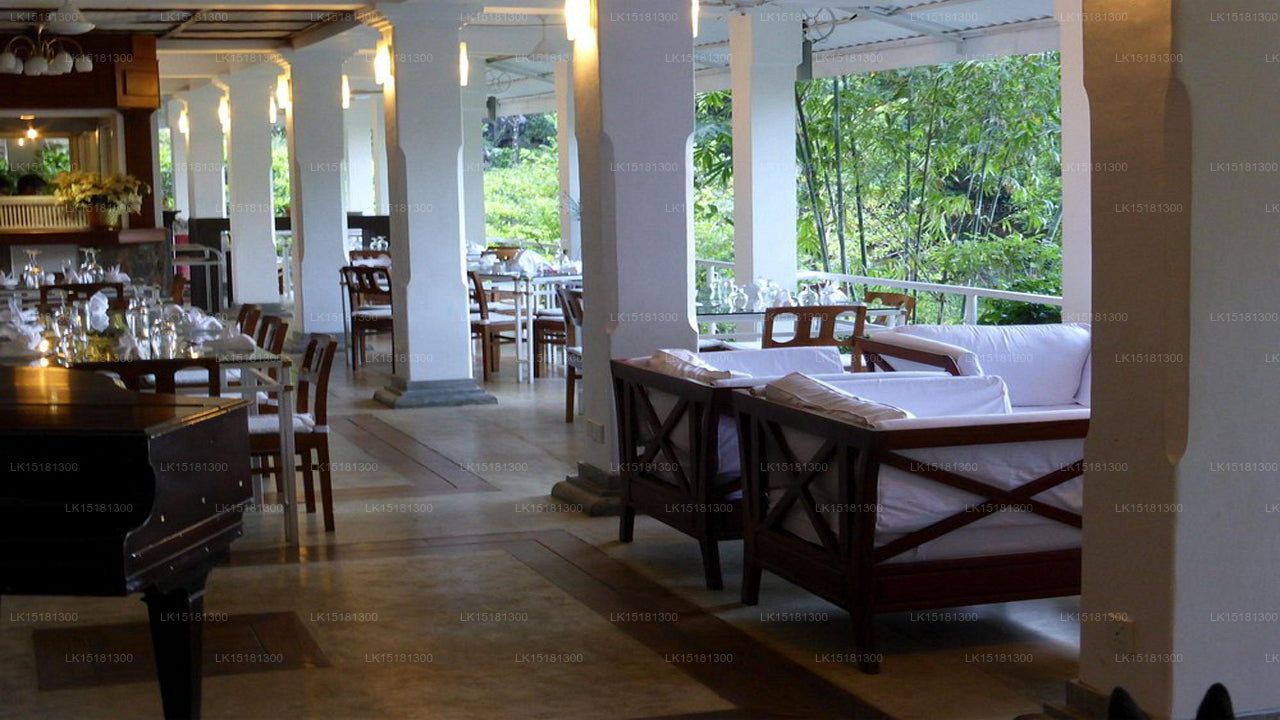 Forest Edge, Kitulgala