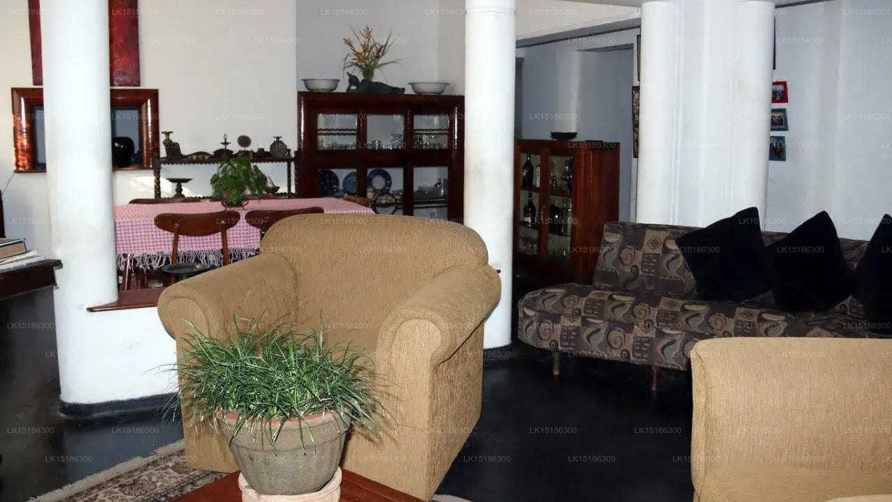 Morning Sun, Ambalangoda