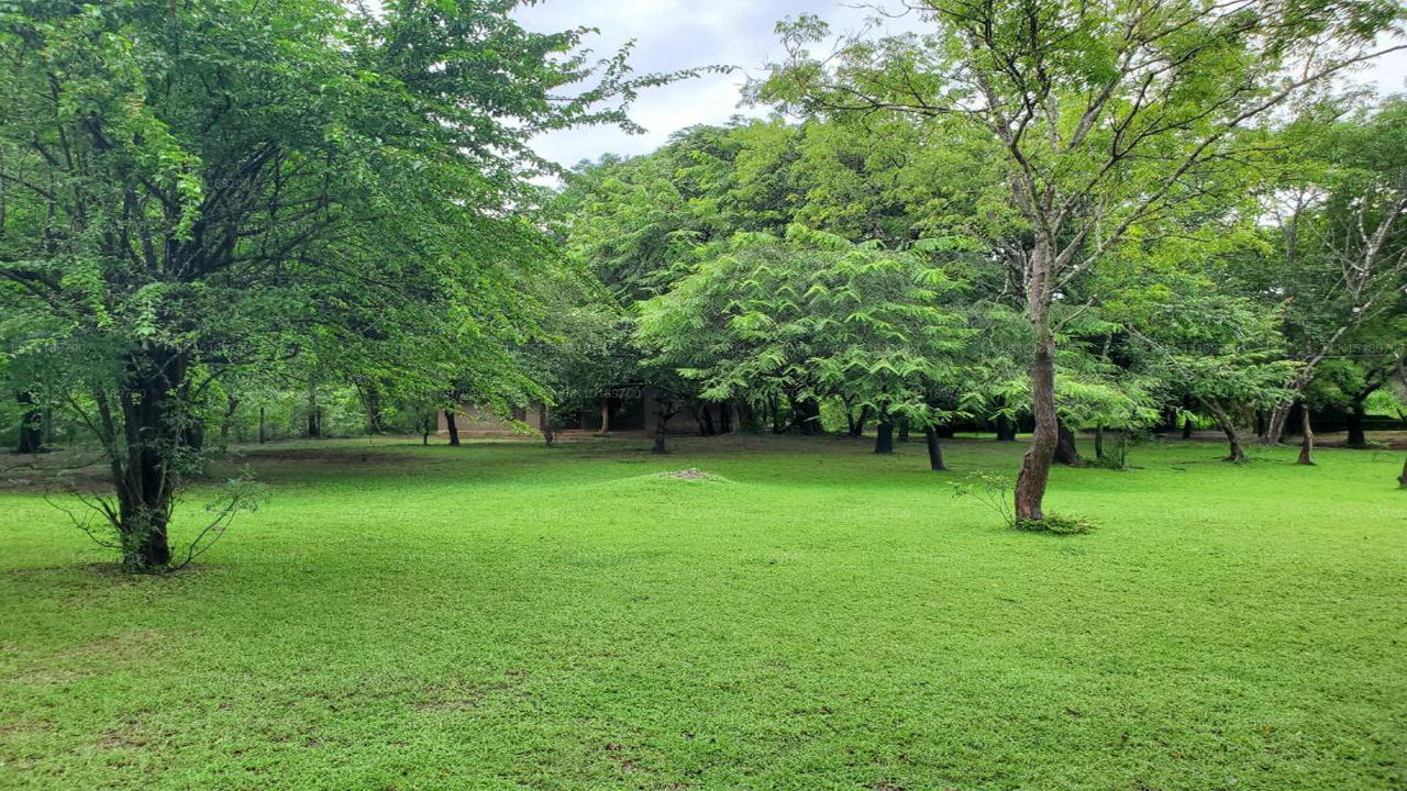 Clay Hut Village, Polonnaruwa