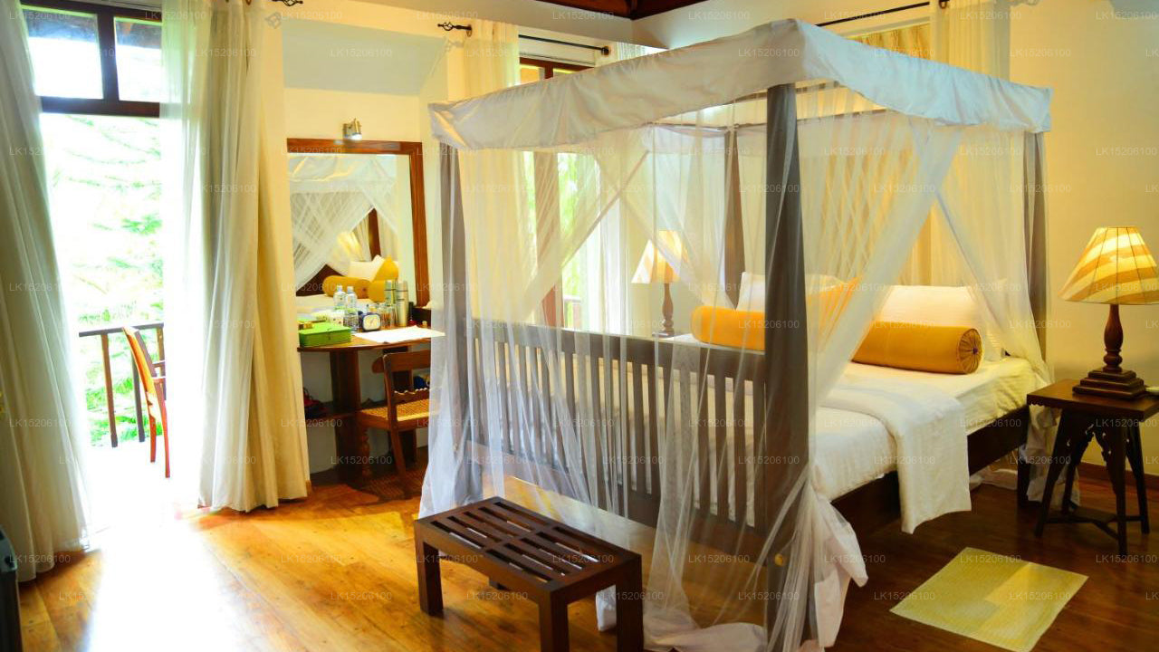 Tropical Retreat, Galle