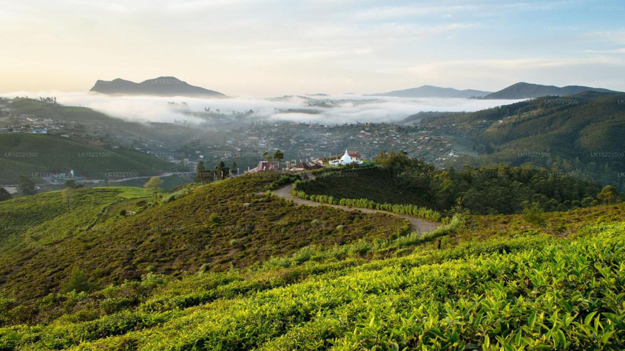 Hill Pride City Hotel, Nuwara Eliya