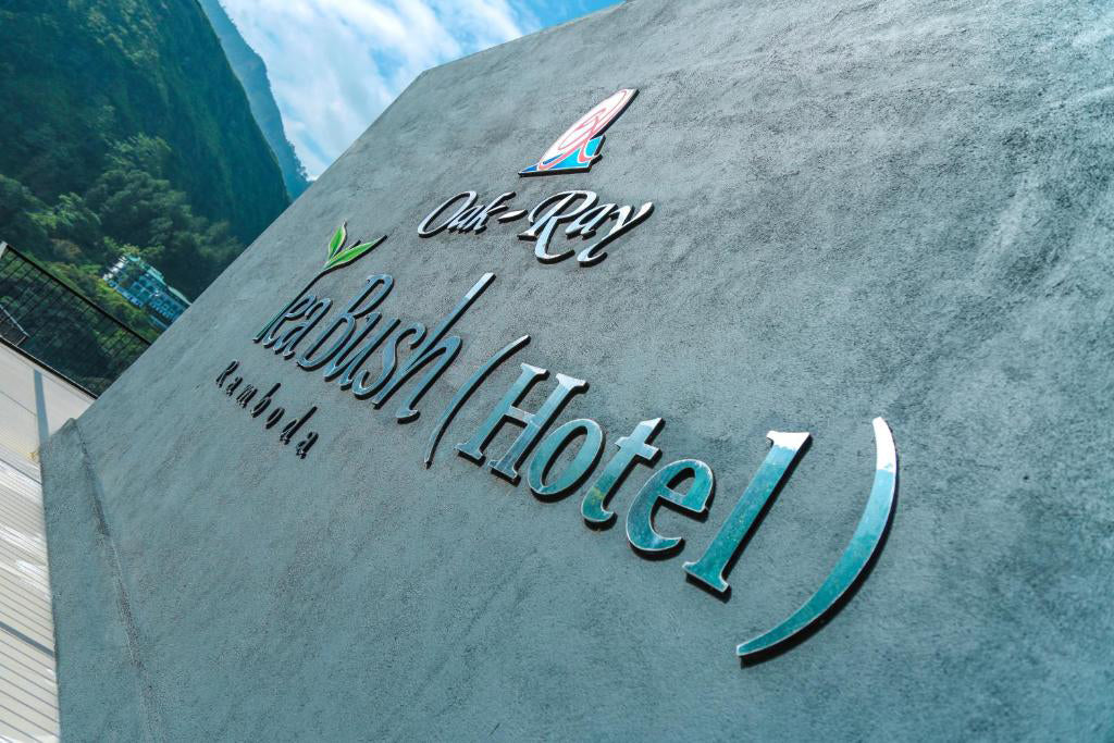 Oak Ray theestruik, Ramboda