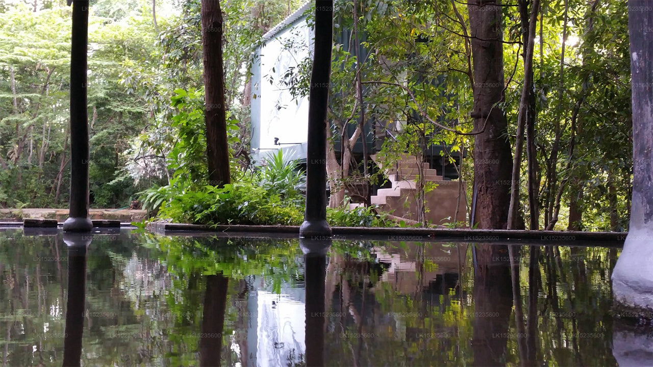 Diyabubula the Barberyn Art & Jungle Hideaway, Dambulla