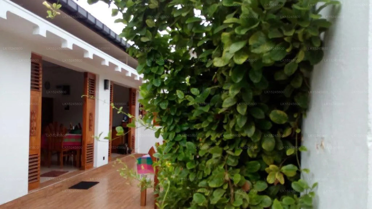 Sea Esta Holiday Inn, Negombo