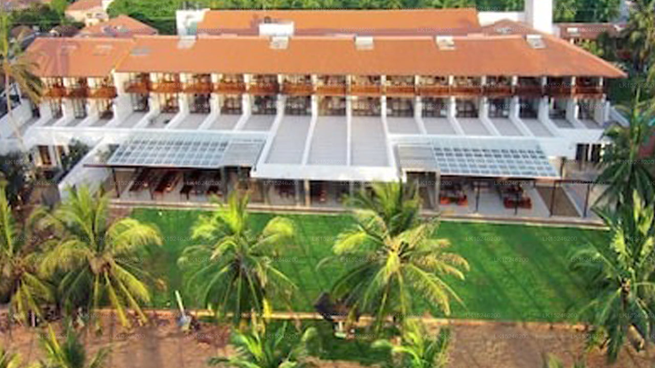Yoho Sarana Mawatha, Negombo