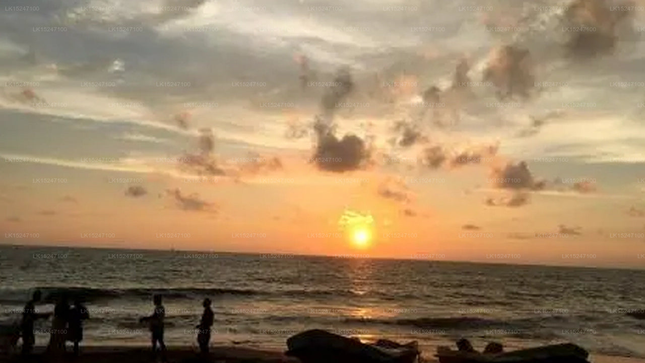 E-Beach Resort, Negombo