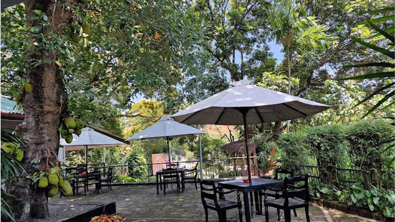 Elephant Villa, Ambepussa