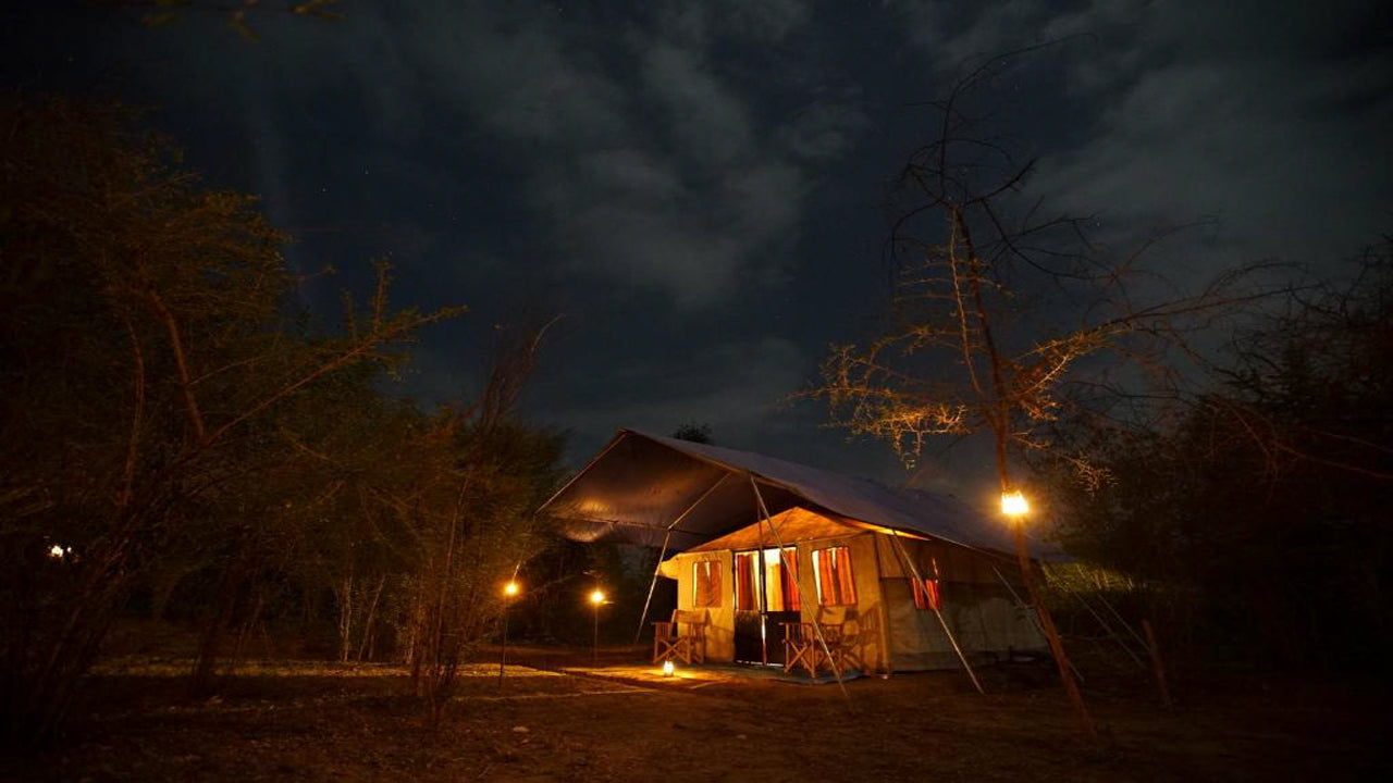 Big Game Camps and Lodges, Wilpattu