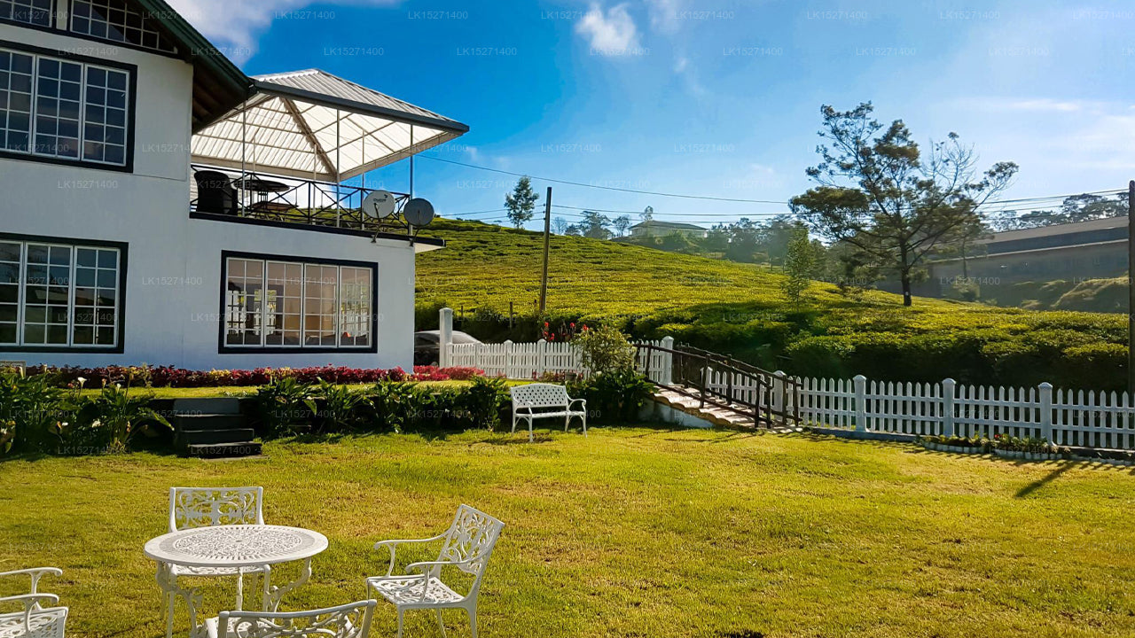Blue Wing Inn, Nuwara Eliya