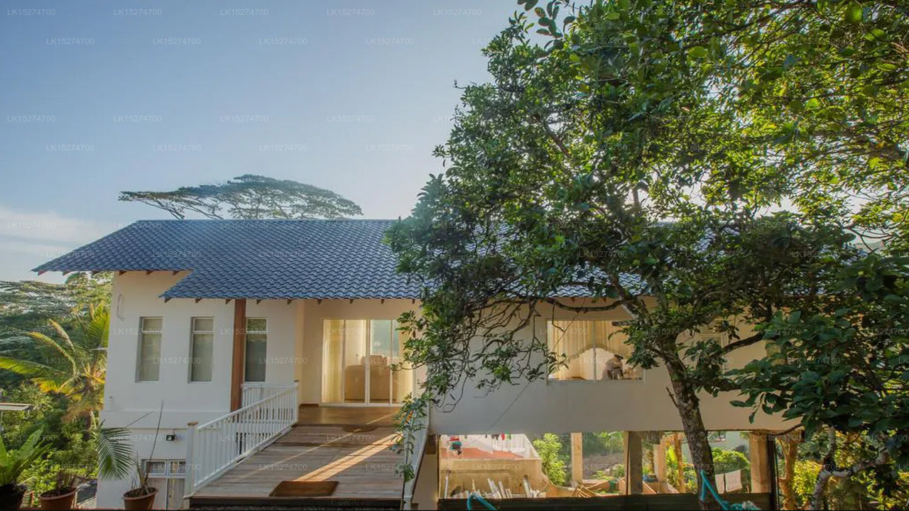 Bee View Home Stay, Kandy