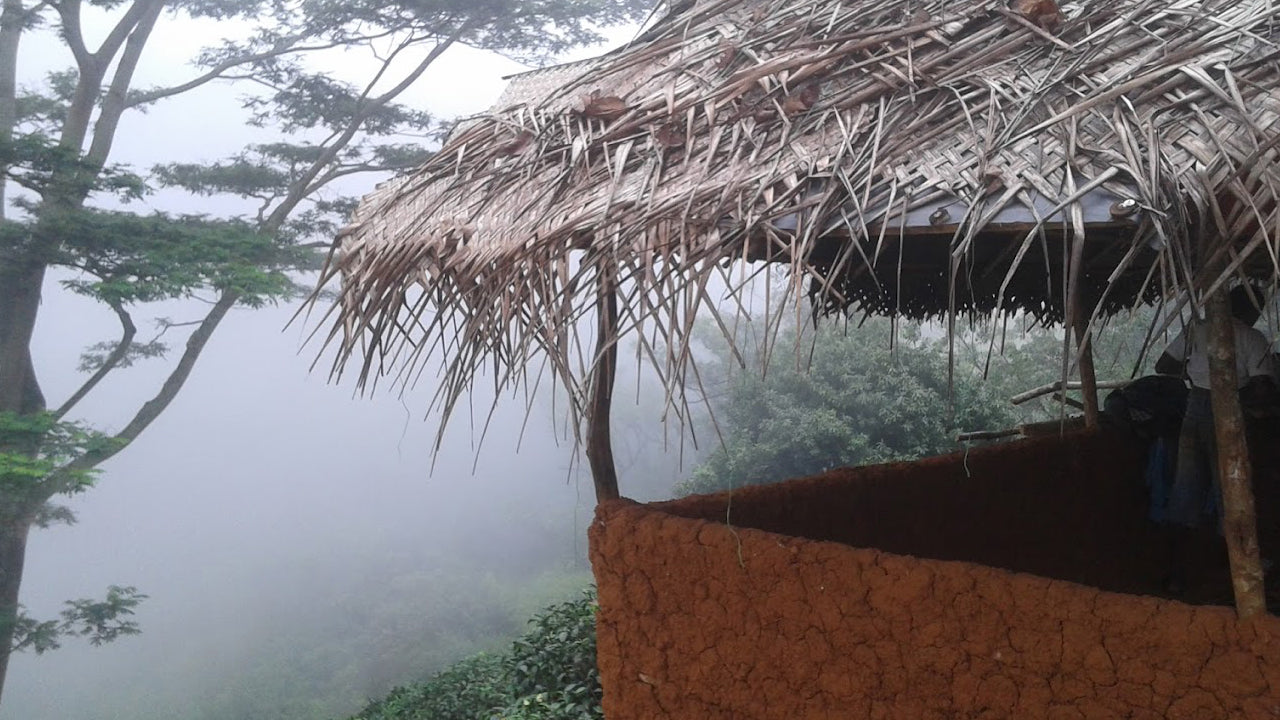 Cabana Lanka Eco Lodge, Kandy