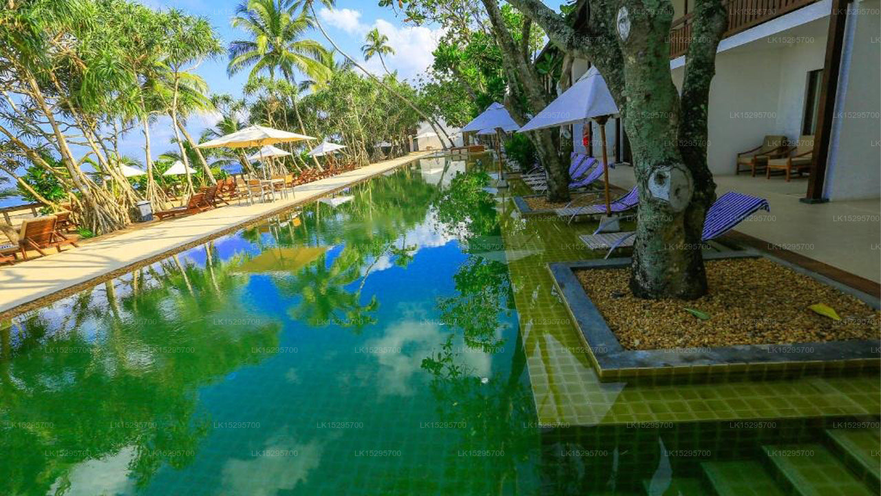 Pandanus Beach Resort & Spa, Bentota