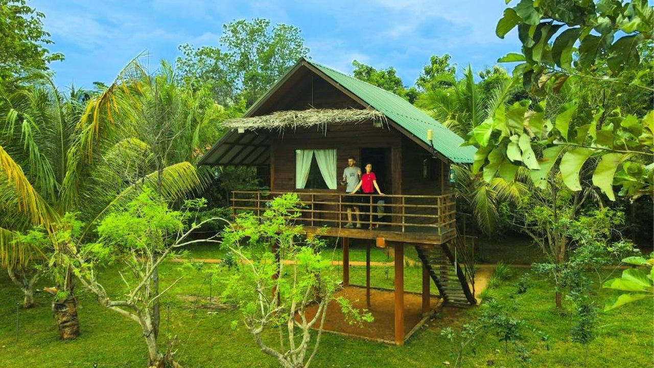 Chena Huts Eco Resort, Sigiriya